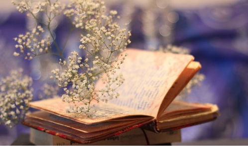 鄱阳湖畔书香浓 第三届洪迈读书节致敬抗疫英雄，引领全民阅读新风尚